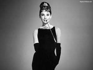 Фотографии Audrey Hepburn