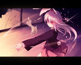 Картинка Touhou Collection