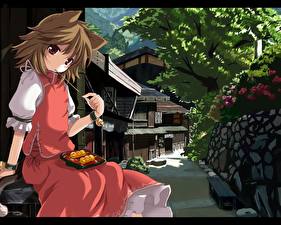 Обои Touhou Collection