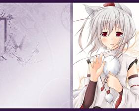 Фотография Touhou Collection