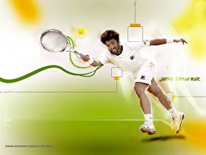 Картинки Теннис Спорт