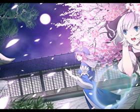 Фотография Touhou Collection