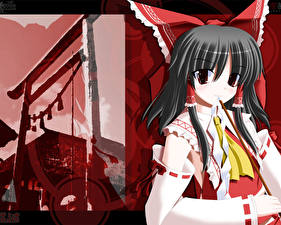 Фото Touhou Collection