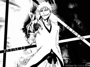 Обои Bleach: Memories of Nobody