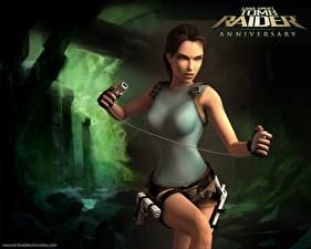 Фото Tomb Raider Tomb Raider Anniversary