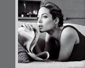 Обои Анджелина Джоли Знаменитости