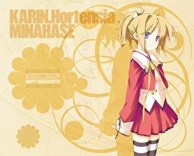 Фотографии Happy Marguerite