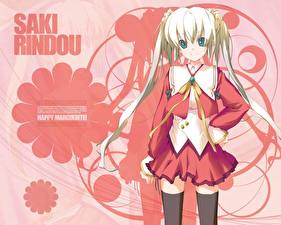 Фотография Happy Marguerite