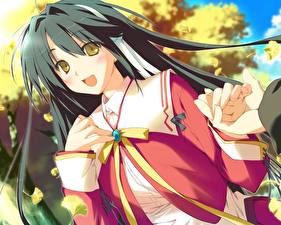 Фотографии Happy Marguerite