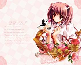 Фотография Quilt