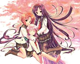 Фотографии Sakura Musubi Аниме