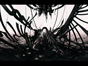 Фотографии Розен мейден