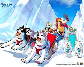 Фотография Husky Express