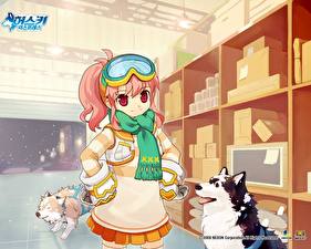 Картинки Husky Express