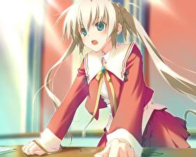 Фотография Happy Marguerite