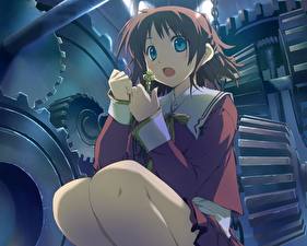 Фото Happy Marguerite