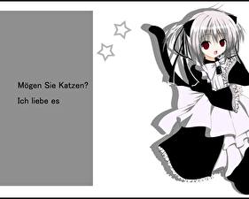 Фотография Neko Girls