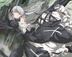 Фотографии Rozen Maiden