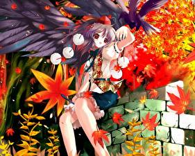 Фото Touhou Collection