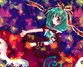 Фото Touhou Collection