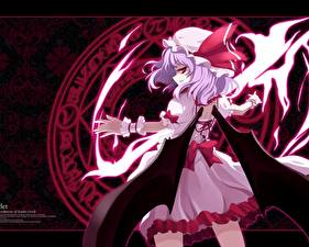 Обои Touhou Collection