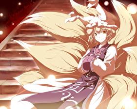 Фотография Touhou Collection