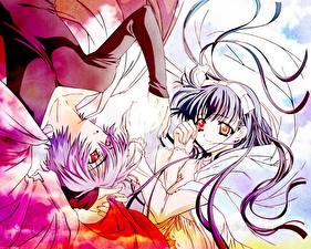 Фото Touka Gettan