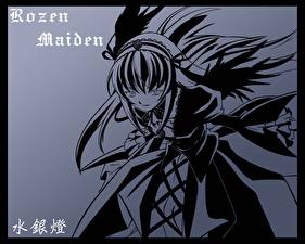 Фотография Розен мейден