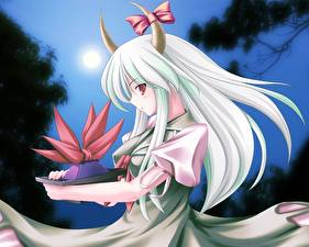 Картинки Touhou Collection