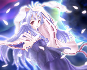 Обои Touhou Collection