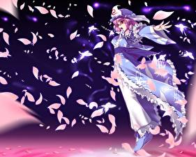 Фотографии Touhou Collection