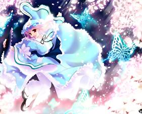 Фотография Touhou Collection