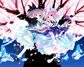 Картинка Touhou Collection