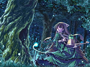 Фото Розен мейден