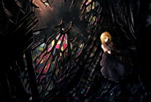 Обои Touhou Collection