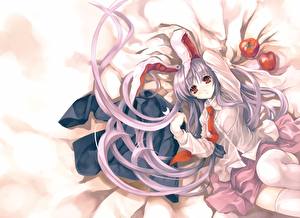 Обои Touhou Collection