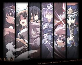Фото Touhou Collection