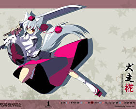 Картинка Touhou Collection