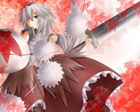 Обои Touhou Collection