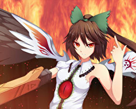 Фотографии Touhou Collection