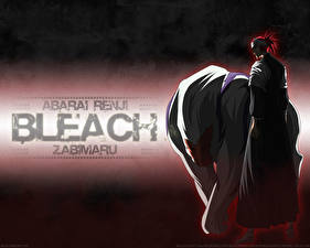 Обои Bleach: Memories of Nobody Аниме