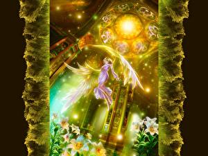 Обои Shu Mizoguchi