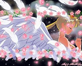 Фотографии Sailor Moon