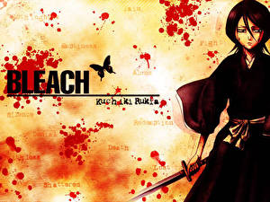 Фотографии Bleach: Memories of Nobody Аниме