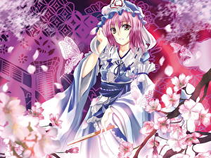 Фотографии Touhou Collection Аниме