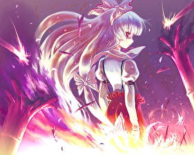 Картинки Touhou Collection