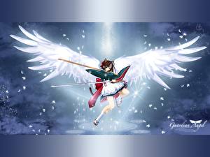 Фотографии Neko Girls