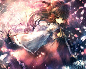 Фотография Touhou Collection