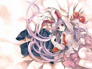 Картинка Touhou Collection