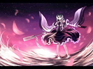 Фото Touhou Collection